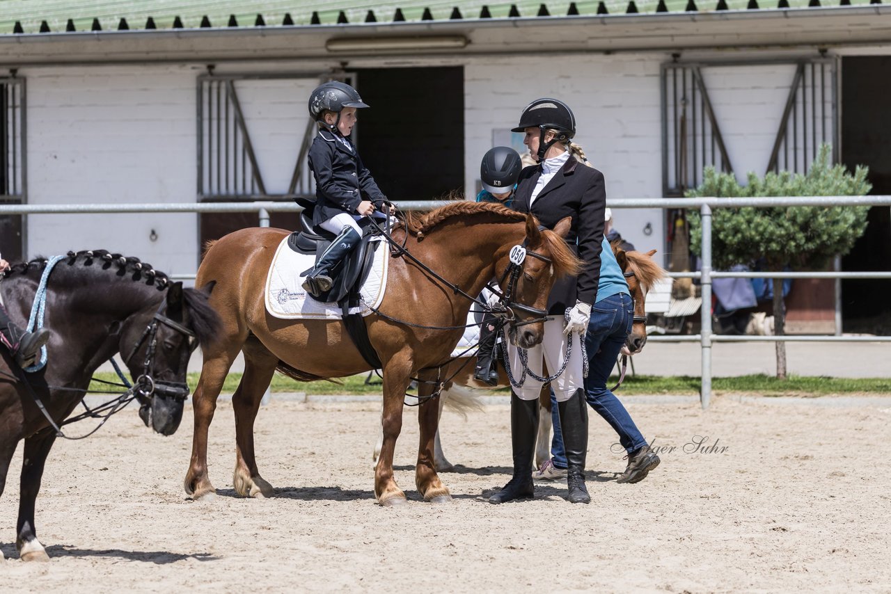 Bild 5 - Pony Akademie Turnier